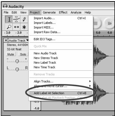 ION AUDIO AUDACITY - Manually Dividing Your Album: - 1