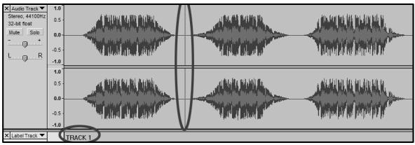 ION AUDIO AUDACITY - Per installare il software (MAC): - 1