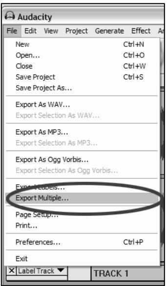 ION AUDIO AUDACITY - EXPORTING TRACKS TO SEPARATE FILES - 1
