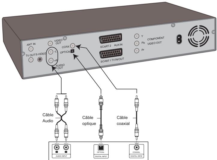 PHOCUS DVHD 160 - Branchement à un amplificateur - 1