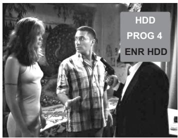 PHOCUS DVHD 160 - Enregistrement/lecture simple sur DD - 1