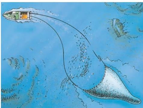 SIMRAD ITI - Adaptabilité et facilité - 1