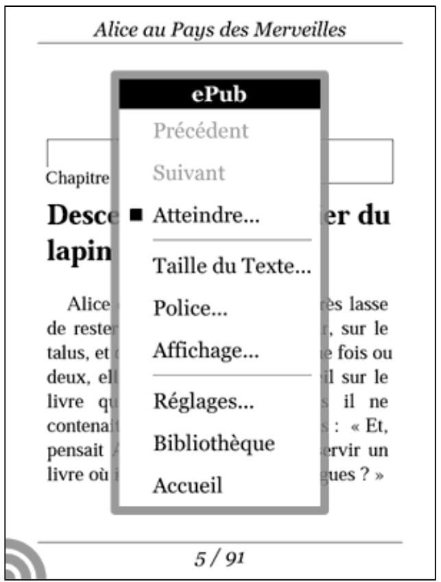 BOOKEEN CYBOOK ORIZON - Le menu contextuel - 1