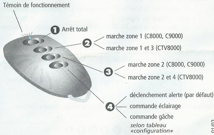 TANIT TTE11 - 2