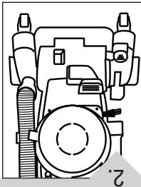 ROYAL UR30080 - Ss - 2