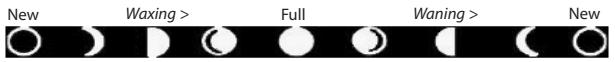 TASCO 119213C - MOON PHASE STAMP - 1