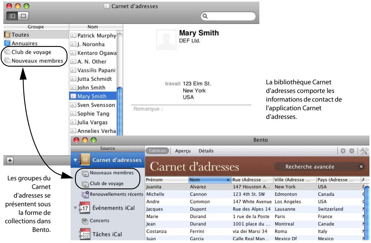 FILEMAKER BENTO 1 - Bibliothèque Carnet d'adresses - 1