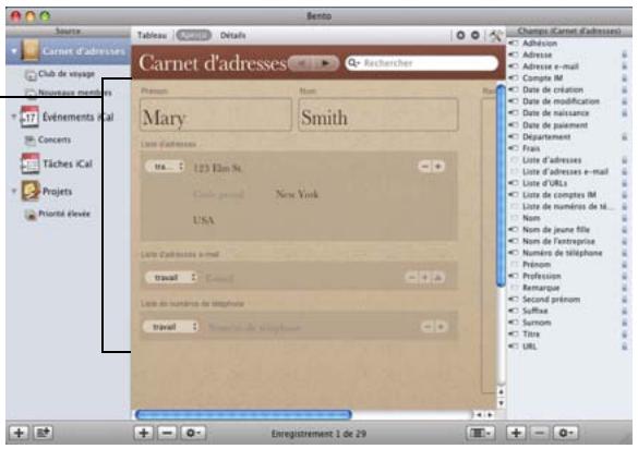 FILEMAKER BENTO 1 - Zone d'enregistrements - 2