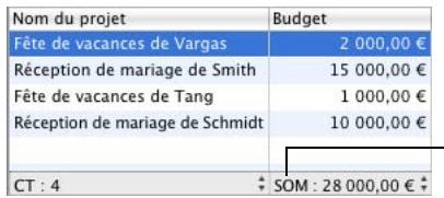 FILEMAKER BENTO 1 - Pour calculer la valeur globale des éléments d'une colonne : - 1