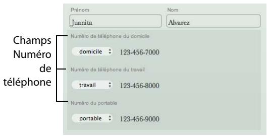 FILEMAKER BENTO 1 - Champs de liste - 1