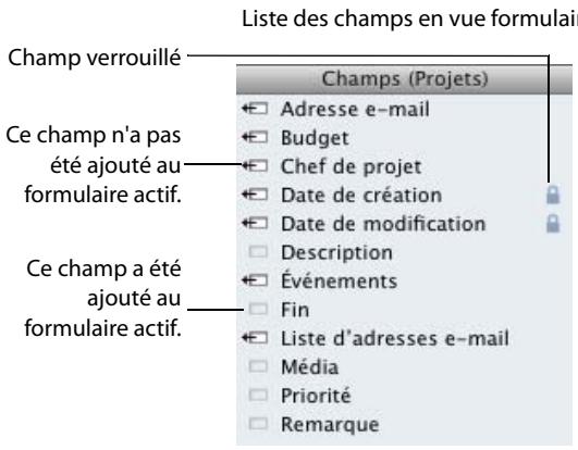 FILEMAKER BENTO 1 - Utilisation de la liste des champs - 1