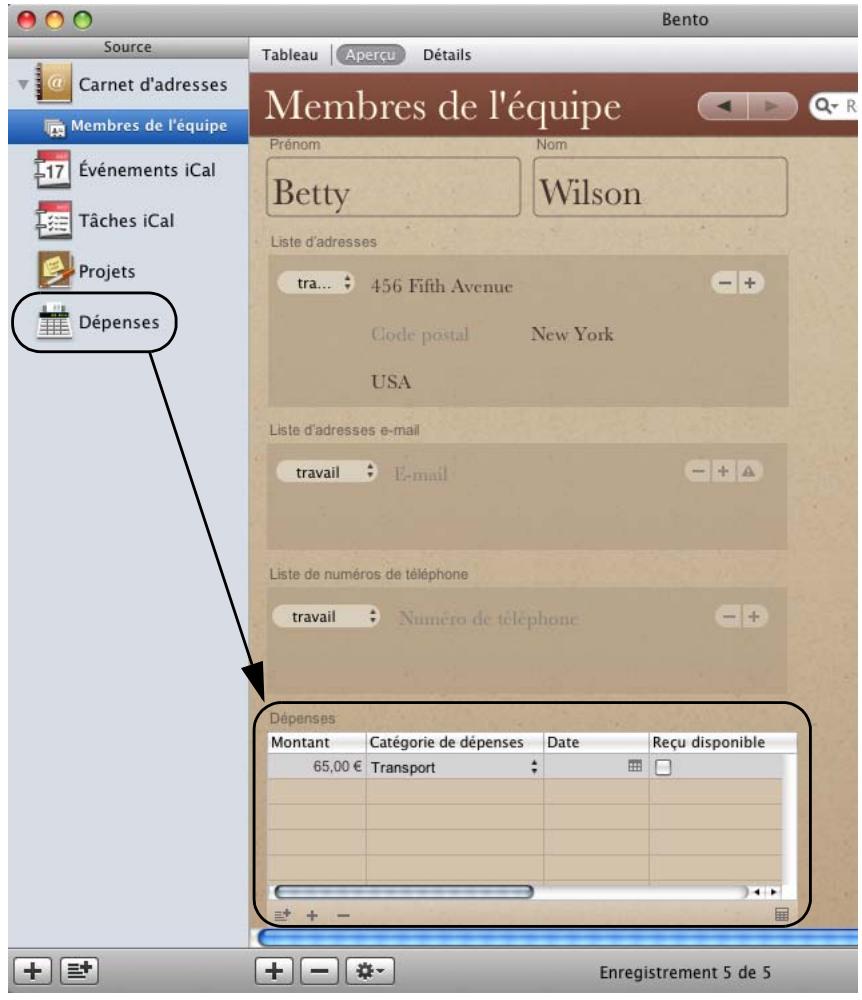 FILEMAKER BENTO 1 - Importation des données d'applications tierces - 5