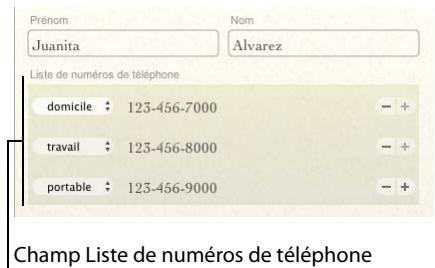 FILEMAKER BENTO 1 - Champs de liste - 2