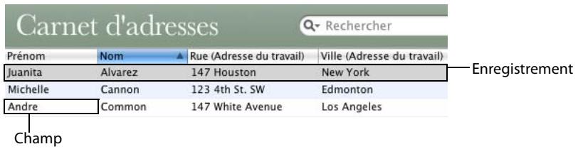 FILEMAKER BENTO 1 - À propos de la vue tableau - 1