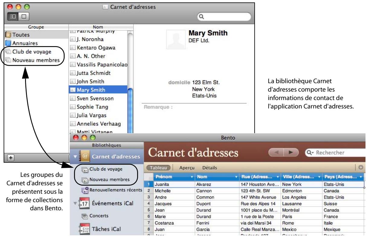 FILEMAKER BENTO 2 - Bibliothèque Carnet d'adresses - 1