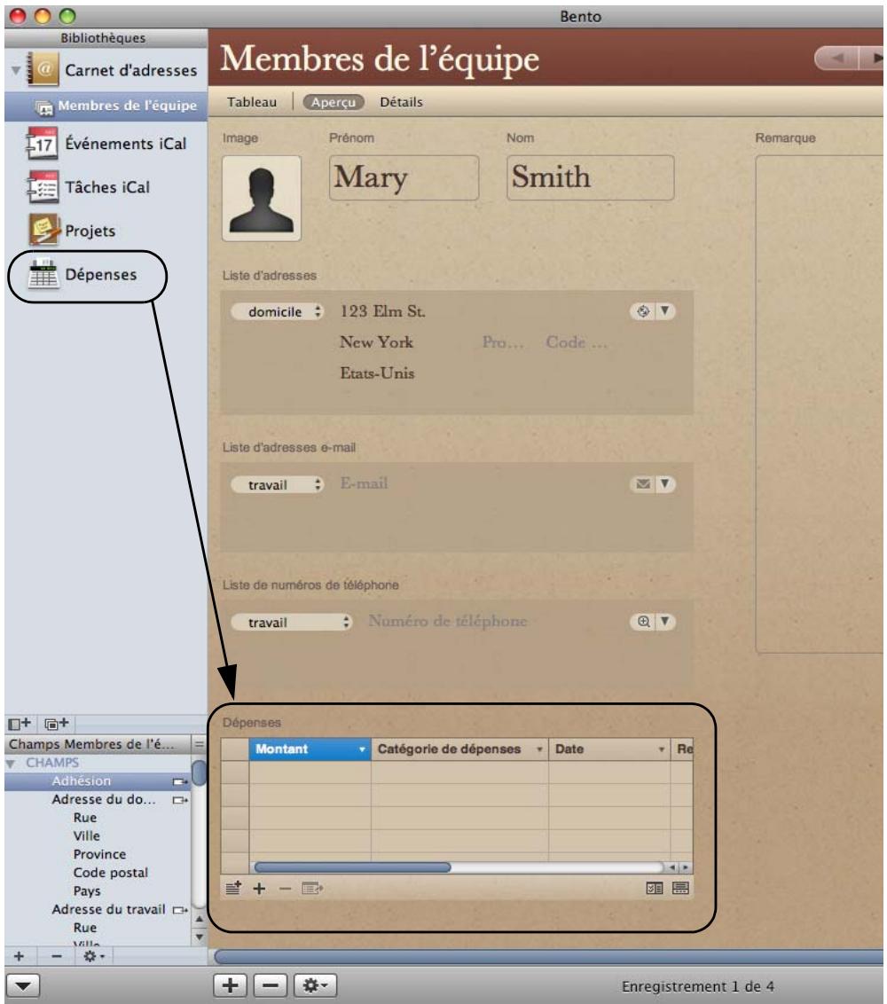 FILEMAKER BENTO 2 - Importation des données d'applications tierces - 5