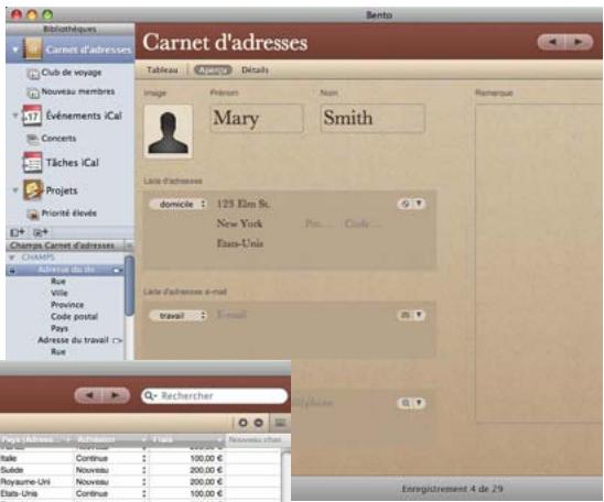 FILEMAKER BENTO 2 - Zone d'enregistrements - 1
