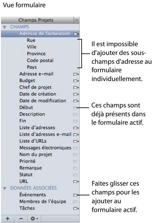 FILEMAKER BENTO 2 - Volet des champs - 2