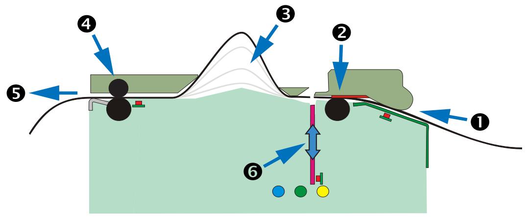 ZEBRA KR203 - Impression - 1