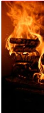 HANDOL H50 - Charge de bois - 2