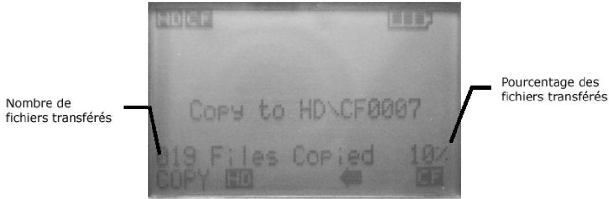 XS DRIVE PRO - Transfert des données à partir des cartes mémoire - 2