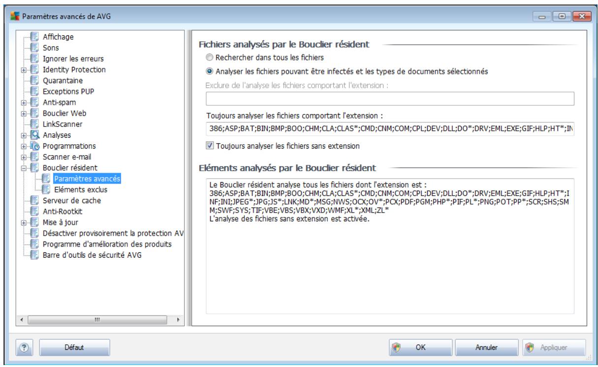 AVG INTERNET SECURITY 2011 - Bouclier résident - 2