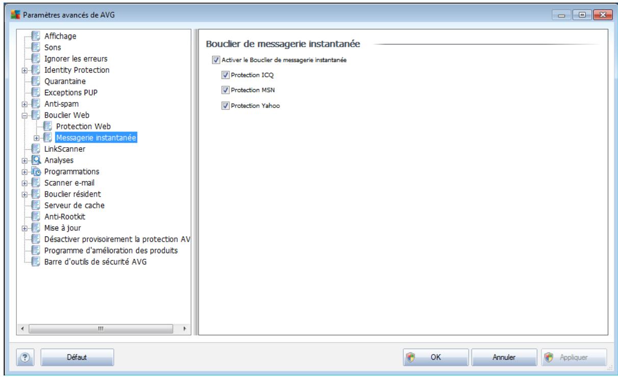 AVG INTERNET SECURITY 2011 - Messagerie instantanée - 1