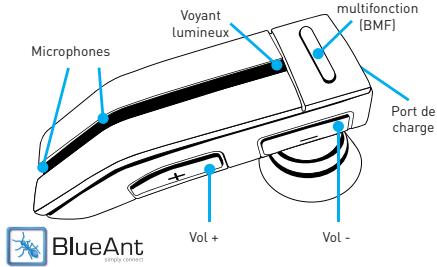 BLUEANT T1 - 1