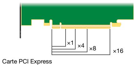 MATROX M9148 LP,  M9120 PLUS LP PCIE X16,  M9138 LP PCIE X16,  M9140 LP PCIE X16,  M9148 LP,  M9188 PCIE X16 - Repérez un connecteur d'extension - 4