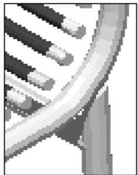 CAD LIMITED ALLPLAN 2005 ARCHITECTURE - Images bitmap et données vectorielles - 3