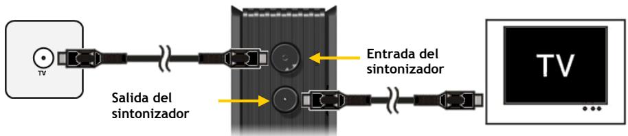 CONCEPTRONIC CM3PVRD - Conectar los cables de antena - 1
