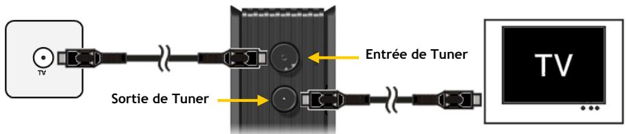 CONCEPTRONIC CM3PVRD - Connexion du/des câble/s d'antenne - 1