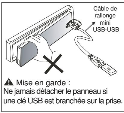 VIETA CCM4000R - Introduction et retrait de la clé USB - 2