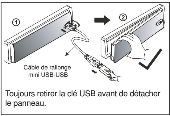 VIETA CCM4000R - Introduction et retrait de la clé USB - 3