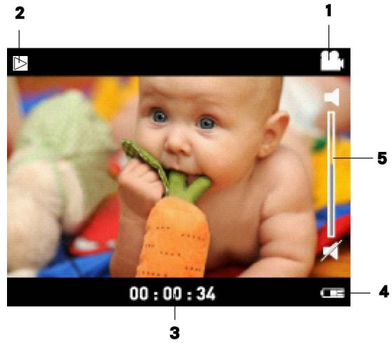 MEMOREX MCC221 - Information de Contrôle du LCD - 1