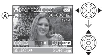 PANALOGIC DMC-FZ8 - Réglage simple - 1