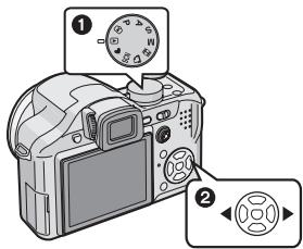 PANALOGIC DMC-FZ8 - Visionnez les photos. - 1