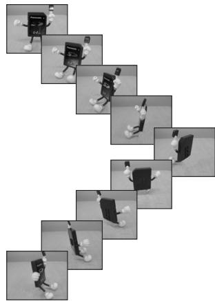 PANALOGIC DMC-FZ8 - Example: - 1