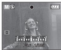 PANALOGIC DMC-FZ8 - Prenez la photo. - 1