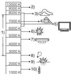 PANALOGIC DMC-FZ8 - PASME - 1