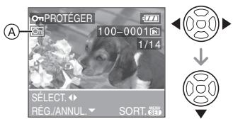 PANALOGIC DMC-FZ8 - Réglage simple - 1