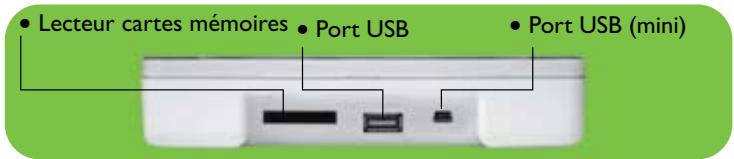 SHOGO SG 081A - SHOGO - 2