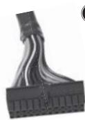 SILVERSTONE STRIDER ESSENTIAL ST60F-ES 80PLUS - Power supply connectors - 1