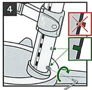MOLL SYSTEM MAXIMO FORTE - 4 - 4