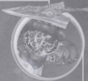 GAMES MICROSOFT XBOX SOULCALIBUR II - 1