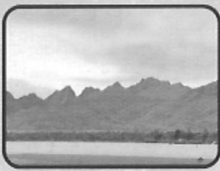 GAMES MICROSOFT XBOX TRANSWORLD SURF - Hawaii - 1