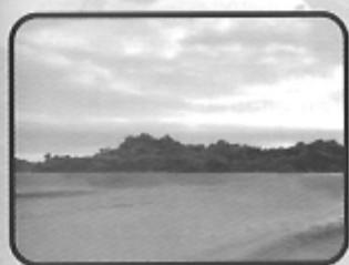 GAMES MICROSOFT XBOX TRANSWORLD SURF - G LAND - 1