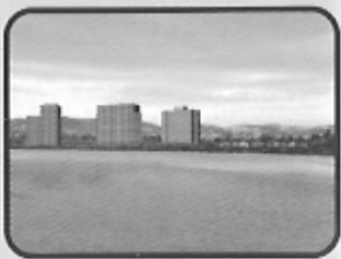 GAMES MICROSOFT XBOX TRANSWORLD SURF - TAVARUA - 1