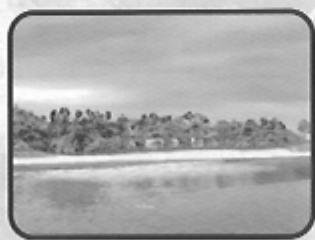 GAMES MICROSOFT XBOX TRANSWORLD SURF - TAVARUA - 2