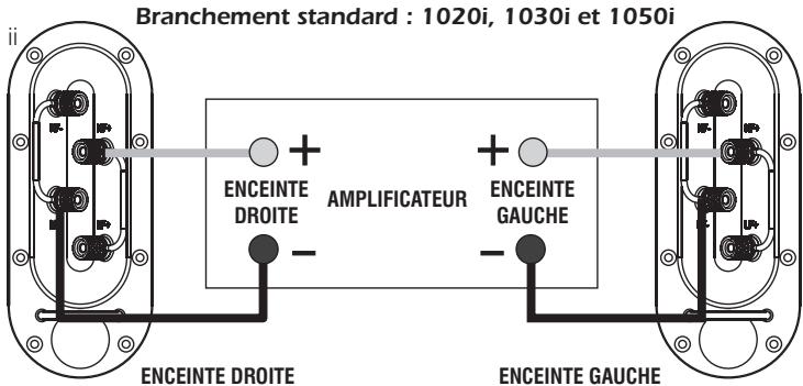 Q-ACOUSTICS 1000I - Branchement - 2